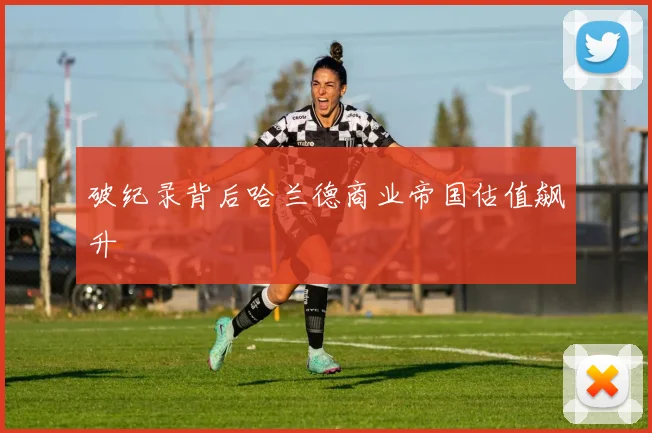 破纪录背后哈兰德商业帝国估值飙升
