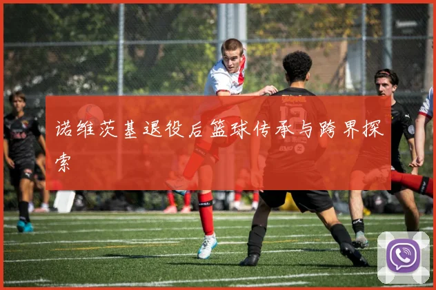诺维茨基退役后篮球传承与跨界探索