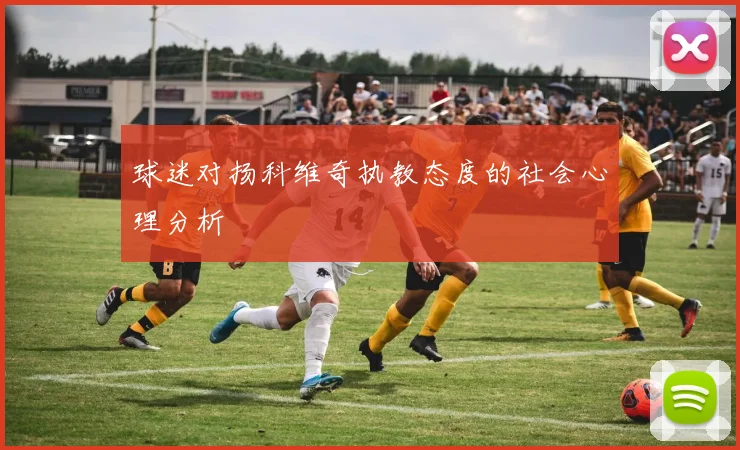 球迷对扬科维奇执教态度的社会心理分析