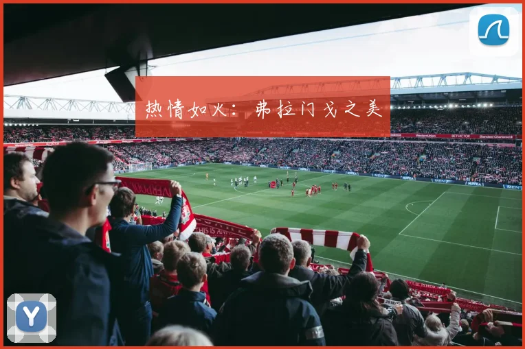 热情如火：弗拉门戈之美