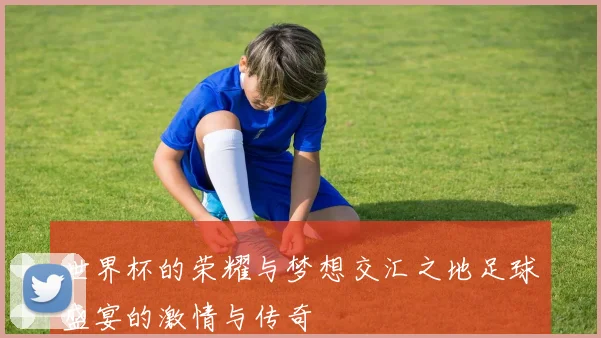 世界杯的荣耀与梦想交汇之地足球盛宴的激情与传奇