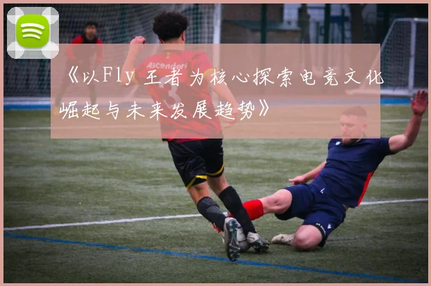 《以Fly 王者为核心探索电竞文化崛起与未来发展趋势》